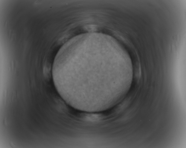 X0000085300332200703302006