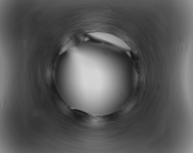 X0000085300333200703302006