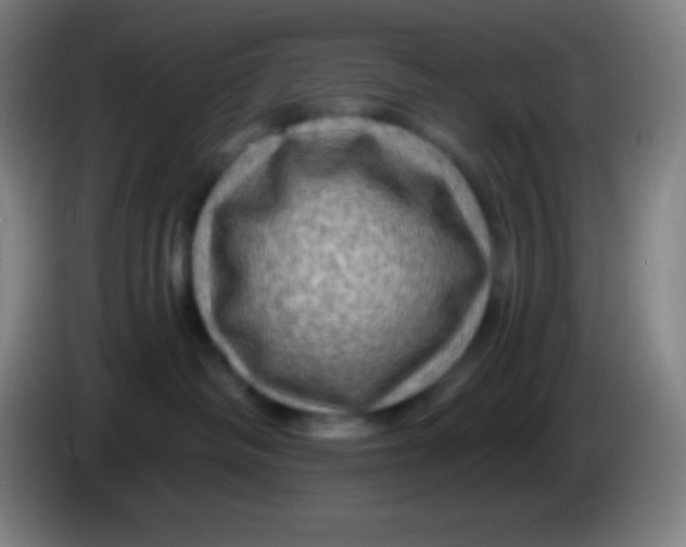 X0000085300334200703302006