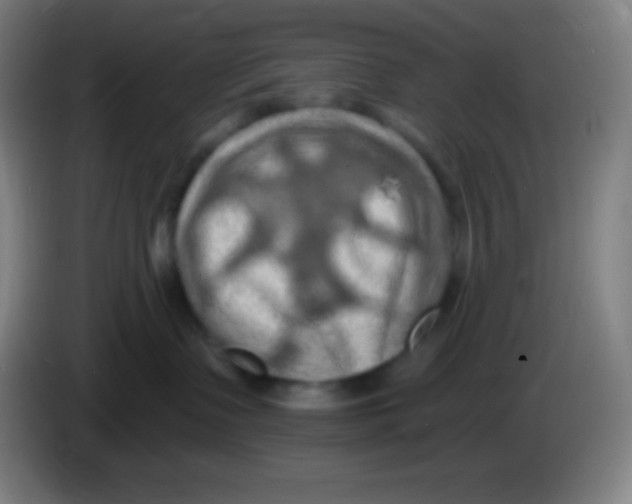 X0000085300335200703302006