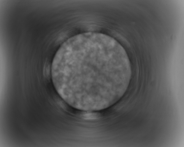 X0000085300336200703302006