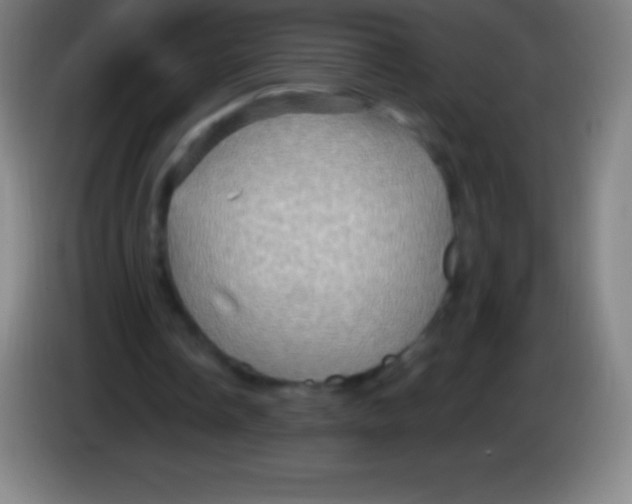 X0000085300338200703302005