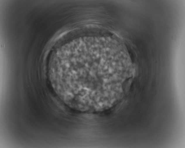 X0000085300339200703302005