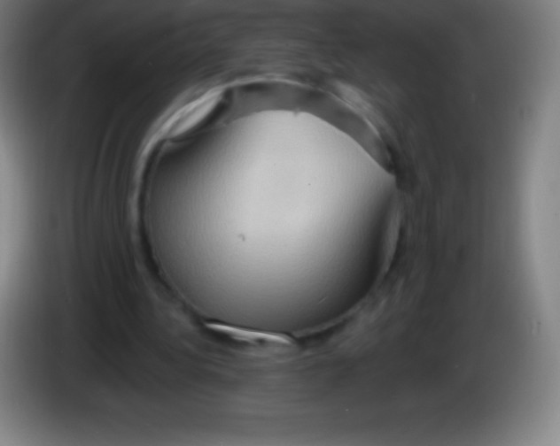 X0000085300340200703302005