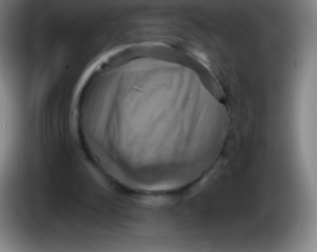 X0000085300342200703302005