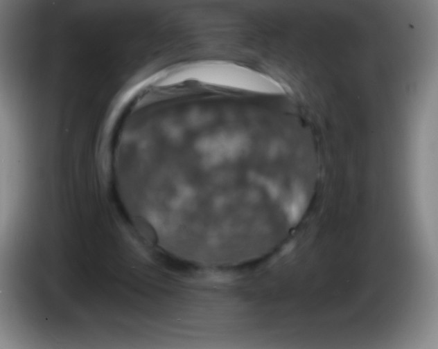X0000085300343200703302005