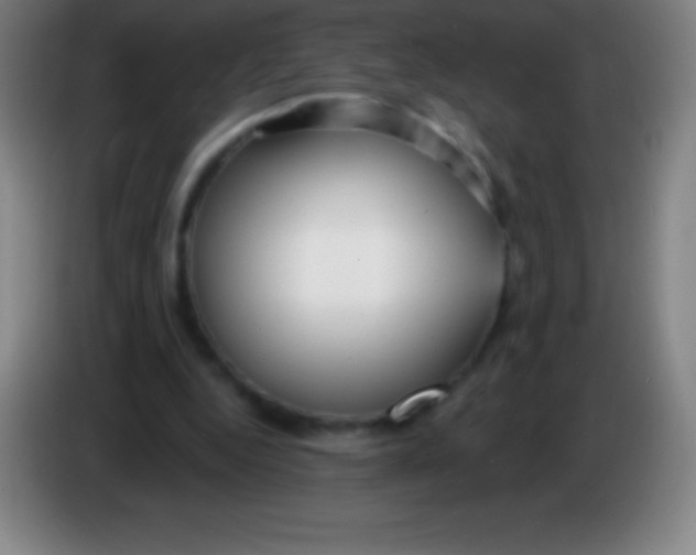X0000085300344200703302005