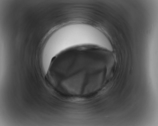 X0000085300348200703302005