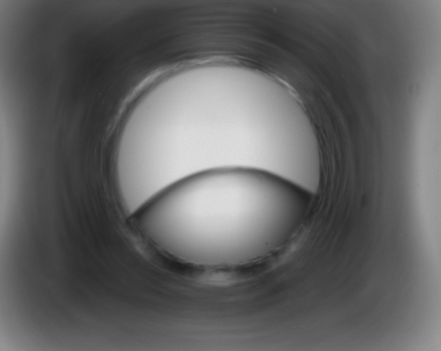 X0000085300350200703302005