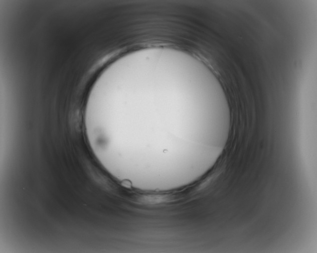 X0000085300351200703302006