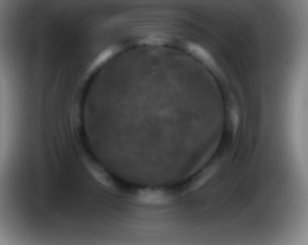 X0000085300354200703302006