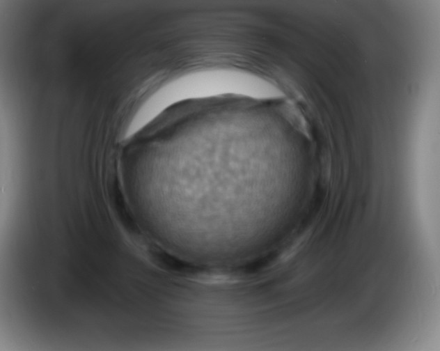 X0000085300356200703302006