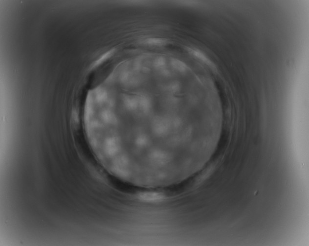 X0000085300358200703302006