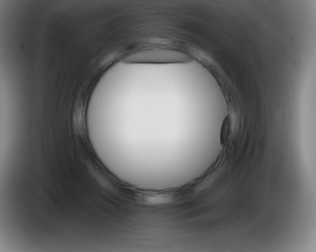 X0000085300360200703302006