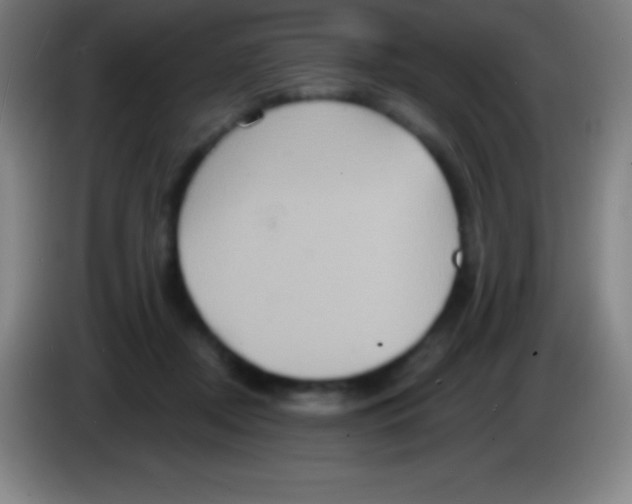 X0000085300362200703302006