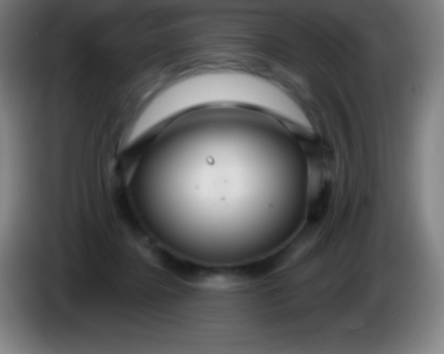 X0000085300364200703302006