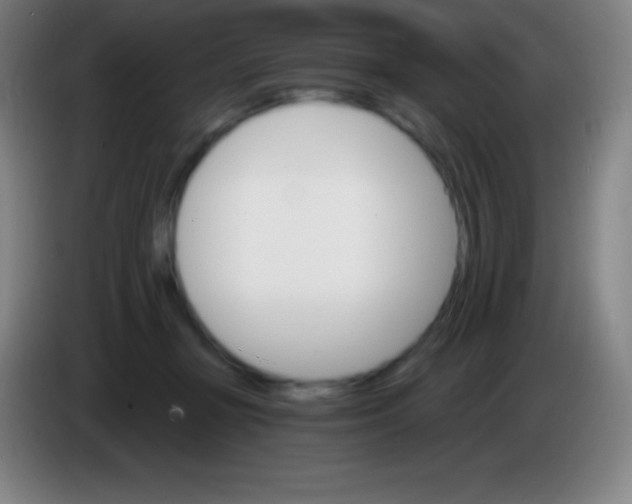 X0000085300367200703302006