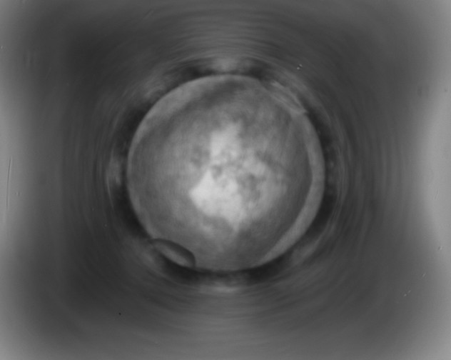 X0000085300368200703302006