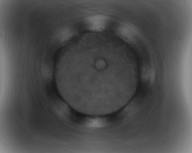 X0000085300370200703302006