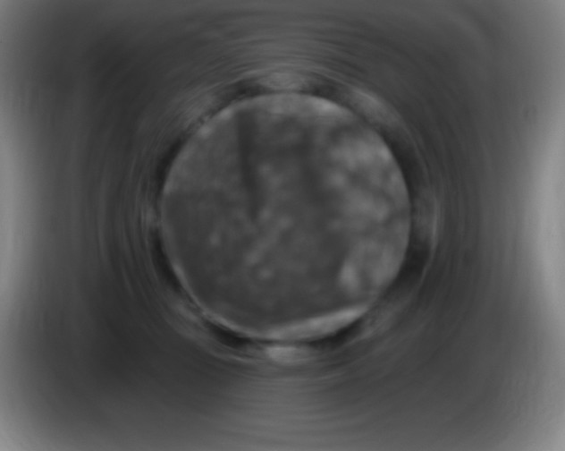 X0000085300371200703302006