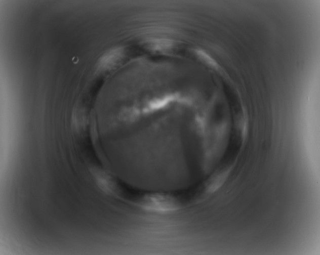 X0000085300372200703302006