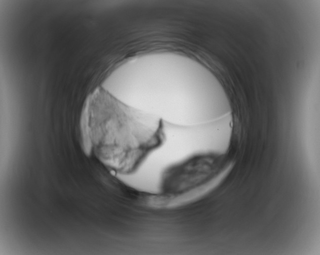 X0000085300373200703302006