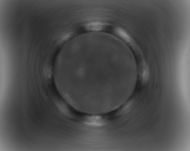 X0000085300374200703302006