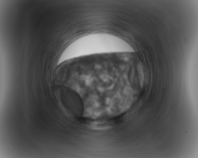 X0000085300375200703302006