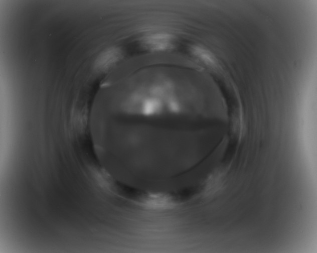 X0000085300376200703302006
