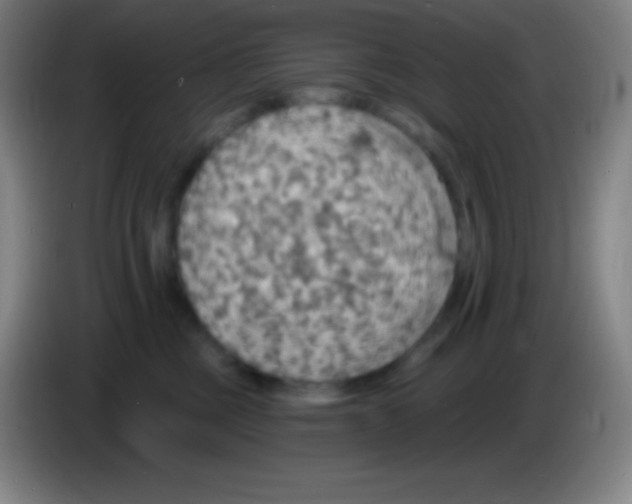 X0000085300377200703302006