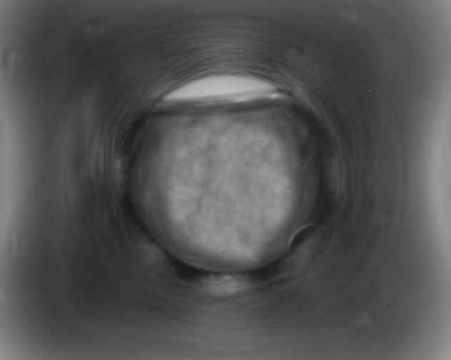 X0000085300378200703302006