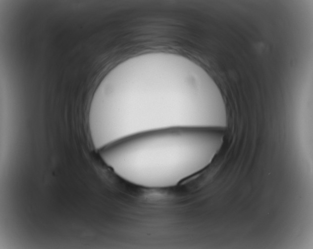 X0000085300380200703302006
