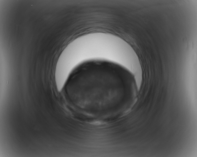 X0000085300382200703302006