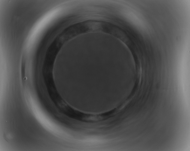 X0000085300383200703302006