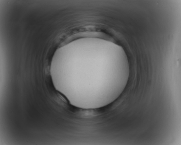 X0000085300384200703302006
