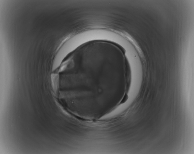 X0000085300385200703302005