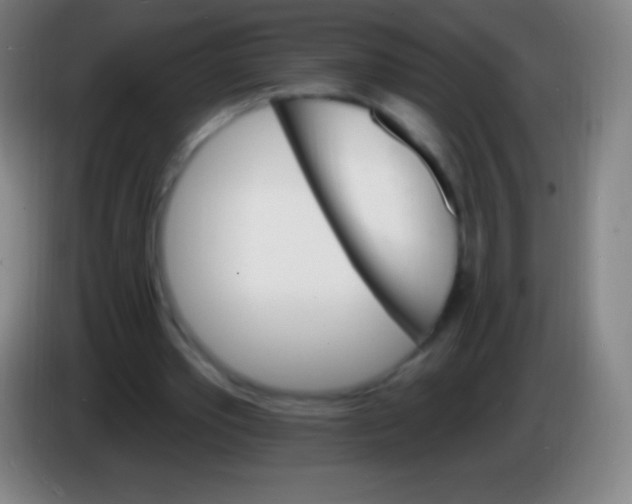X0000085300389200703302005