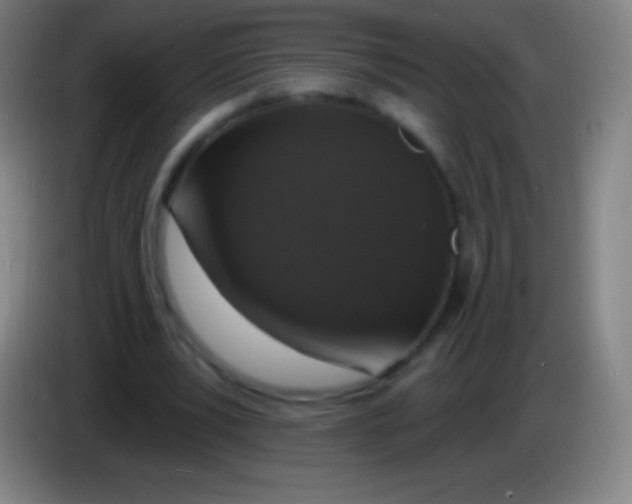 X0000085300391200703302005