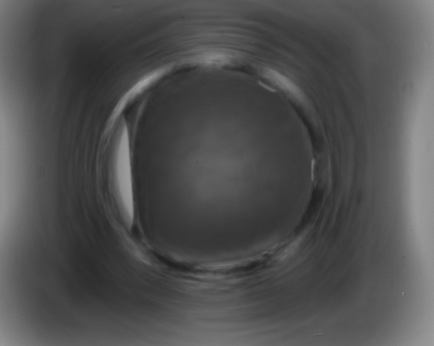 X0000085300392200703302005