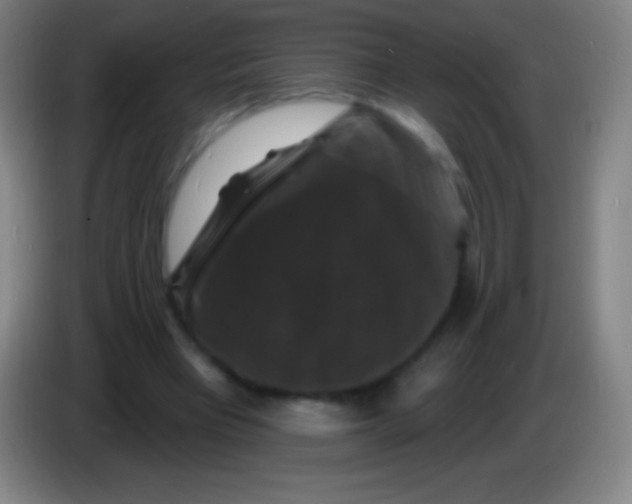 X0000085300393200703302005