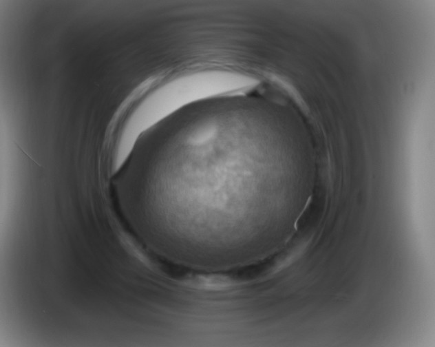 X0000085300395200703302005
