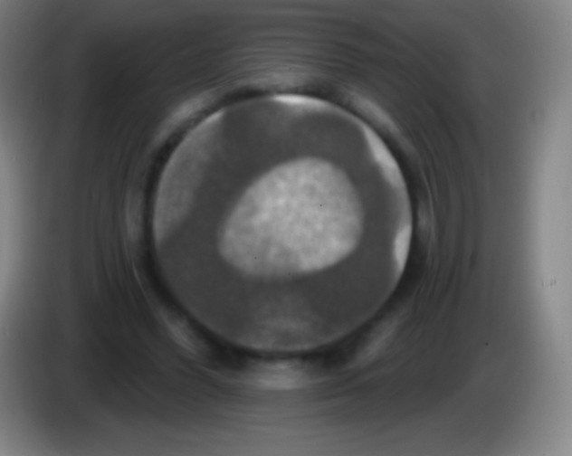 X0000085300396200703302005