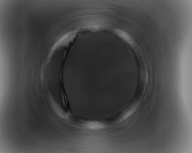 X0000085300399200703302005