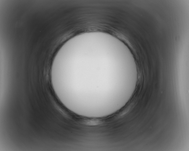 X0000085300402200703302005