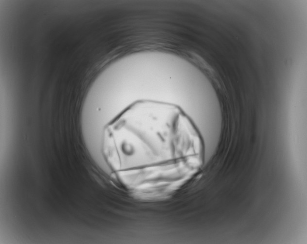 X0000085300405200703302005