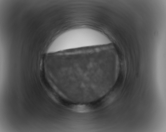 X0000085300406200703302005