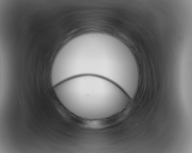 X0000085300409200703302005
