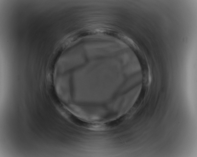 X0000085300410200703302005