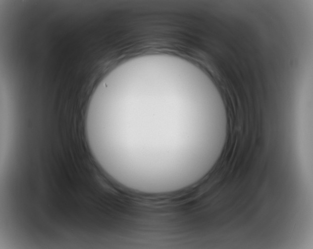 X0000085300411200703302005