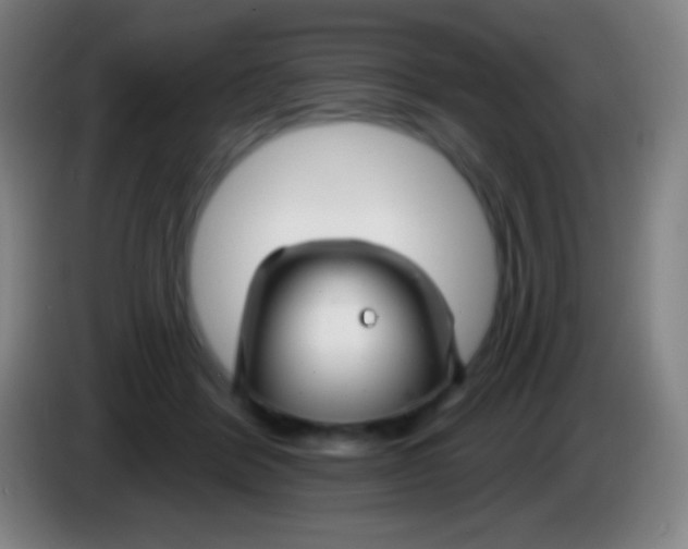 X0000085300412200703302005